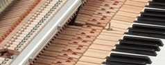 YAMAHA アバングランド N1(旧モデル)特価品イメージ02