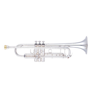 YAMAHA YTR-8335S【選定品】イメージ01