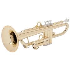 P-Trumpet　hyTechイメージ01