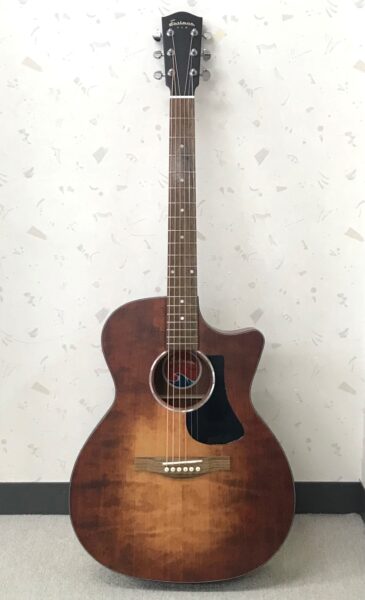 エレアコ　Eastman　PCH1-GACE-CLAイメージ01