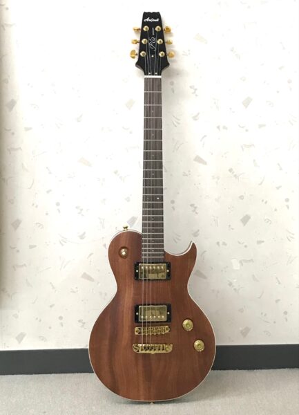 Aria Pro Ⅱ　PE-600MHイメージ01