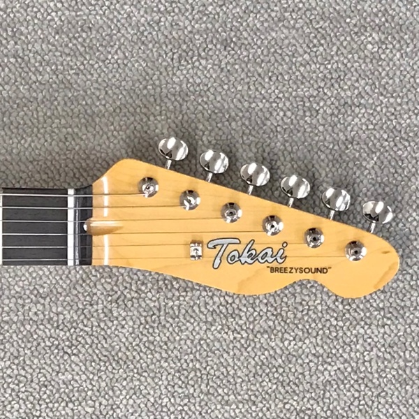 Tokai　ATE-101  VWH/Rイメージ02