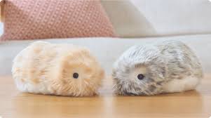 CASIO　モフリンイメージ01