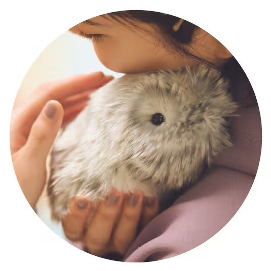 CASIO　モフリンイメージ02