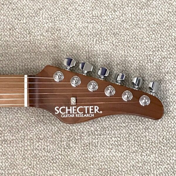 SCHECTER　プロゲージシリーズ　SD-2-24-AL-VTR-FM / RDSB / RM　イメージ02